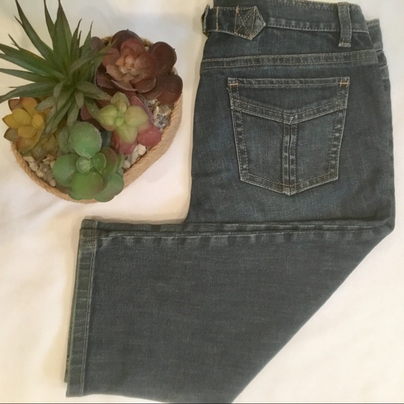 Ann Taylor Modern Fit Lindsey Waist Capri denim 4 - Picture 1 of 7